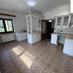 Rent 1 bedroom house in Trutnov