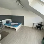 Miete 1 Schlafzimmer wohnung von 30 m² in Mannheim