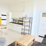 Huur 1 slaapkamer appartement van 45 m² in Den Haag