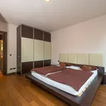 Rent 2 bedroom apartment of 135 m² in Prague