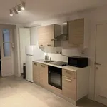 Rent 1 bedroom apartment in brussels