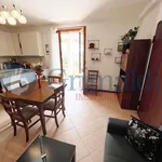 Rent 2 bedroom apartment of 50 m² in Roma