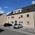 Huur 2 slaapkamer appartement in Hamme