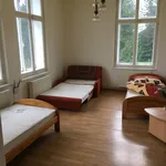 Rent 2 bedroom apartment in Trutnov