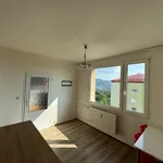 Rent 1 bedroom apartment in Ústí nad Labem