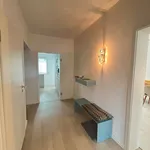 Rent 2 bedroom apartment of 75 m² in Cologne