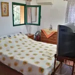 Rent 4 bedroom house of 230 m² in Δαφνούσες