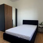 Rent 5 bedroom apartment of 109 m² in Rzeszów