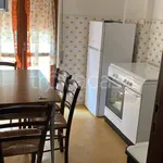 Rent 3 bedroom apartment of 80 m² in Silvi