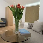 Rent 1 bedroom apartment of 36 m² in Vienna