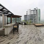 Appartement de 559 m² avec 1 chambre(s) en location à Toronto