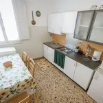 Rent 1 bedroom apartment of 50 m² in Florence