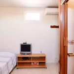 Rent 1 bedroom apartment in Madrid