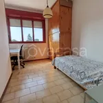 Rent 4 bedroom apartment of 95 m² in Padova