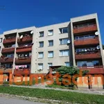 Rent 2 bedroom apartment of 38 m² in Trhový Štěpánov