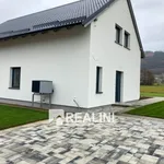 Rent 1 bedroom house in Frýdek - Místek