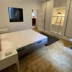 Rent 3 bedroom apartment of 110 m² in Lyon 1er Arrdt