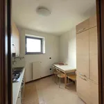 Rent 4 bedroom apartment of 90 m² in Milan