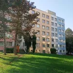 Pronajměte si 1 ložnic/e byt o rozloze 24 m² v Březnice