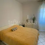 Rent 3 bedroom apartment of 75 m² in Alessandria