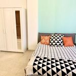 Rent a room in Firenze