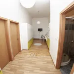 Pronajměte si 1 ložnic/e byt o rozloze 55 m² v Brno