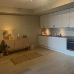 Rent 3 bedroom apartment of 67 m² in Trondheim