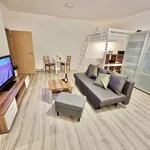 Rent 1 bedroom apartment of 45 m² in Chemnitz