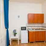 Studio o rozloze 18 m² v prague