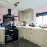 Semi-detached house to rent in Saint David's Rise, Hereford HR2