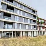 Huur 1 slaapkamer appartement van 67 m² in Ronse - Renaix