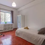 Rent a room of 160 m² in lisbon