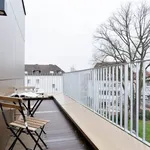 Rent 4 bedroom apartment of 74 m² in Osnabrück