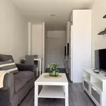 Rent 1 bedroom apartment in Madrid