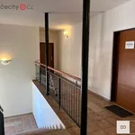 Rent 4 bedroom apartment in Hradec Králové