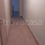 Rent 3 bedroom apartment of 100 m² in Taranto