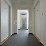 Rent 1 bedroom apartment of 32 m² in Praha