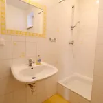 Rent 1 bedroom apartment of 38 m² in Hradec Králové