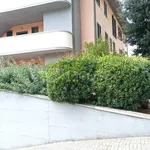 Rent 2 bedroom apartment of 40 m² in Rosignano Marittimo