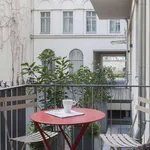 Rent 2 bedroom apartment of 64 m² in berlin