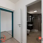 Pronajměte si 1 ložnic/e byt o rozloze 54 m² v Pilsen