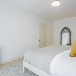 Rent 1 bedroom apartment in Mount Royal