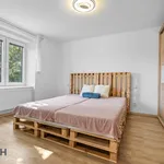 Rent 2 bedroom apartment of 61 m² in Staré Město