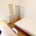 Rent 1 bedroom apartment in Brno