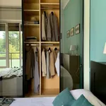 Rent 1 bedroom apartment in milan