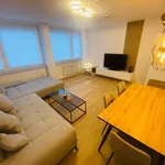 Rent 3 bedroom apartment of 72 m² in Wolfsburg