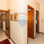 Rent 6 bedroom apartment of 224 m² in Catania