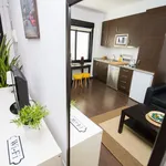 Rent 1 bedroom apartment of 40 m² in Málaga