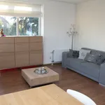 Huur 1 slaapkamer appartement van 47 m² in Tilburg