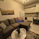 Rent 1 bedroom apartment of 4000 m² in Alexandroupoli